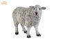 Figurki zwierząt Dolly Sheep Polyresin