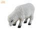 Indoor White Polyresin Dolly Sheep Statue Figurki zwierząt Wystrój rzeźby podłogowej